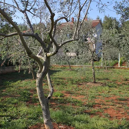 Apartamento With Parking Space - 7646 *