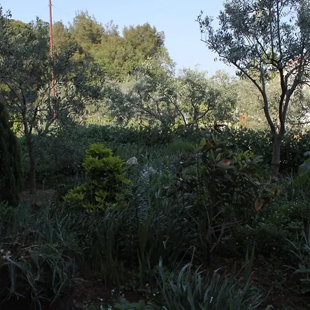 With Parking Space - 7646 아파트