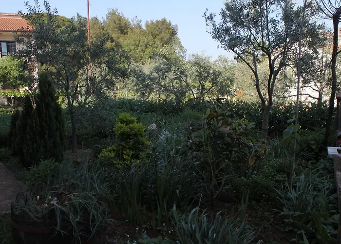 With Parking Space - 7646 Apartament