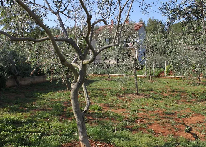 Apartament With Parking Space - 7646 *